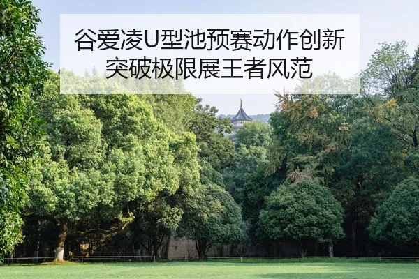gu-ai-ling-xing-chi-yu-sai-dong-zuo-chuang-xin-tu-po-ji-xian-zhan-wang-zhe-feng-fan-2-345.jpg